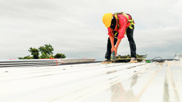 Best Skylight Installation and Repair  in White Hall, IL