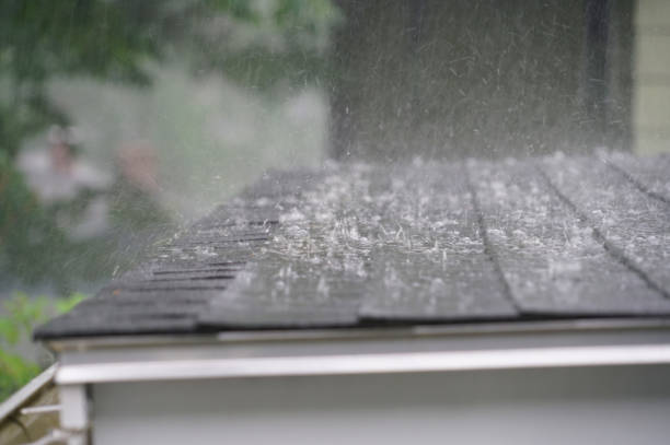 Best Roof Moss and Algae Removal  in White Hall, IL